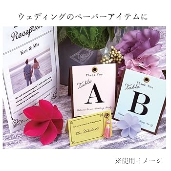 だんドーン　複製色紙 ミドリ（MIDORI） カラー色紙 B6 二つ折り 封筒付 33271006